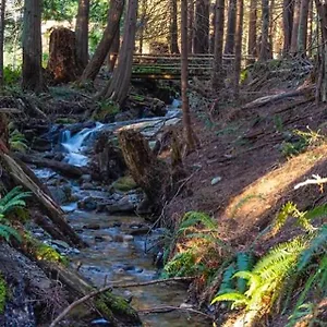 https://forest-haven-hideaway.richmond-hotels.com